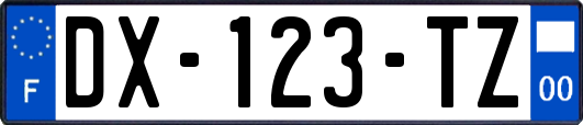 DX-123-TZ