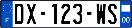 DX-123-WS
