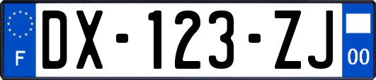 DX-123-ZJ