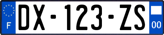 DX-123-ZS