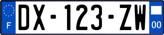 DX-123-ZW