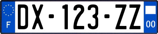 DX-123-ZZ