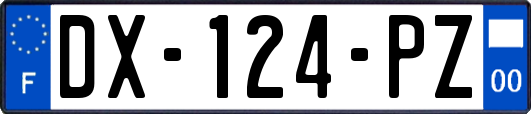 DX-124-PZ