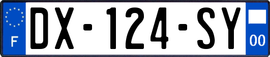 DX-124-SY
