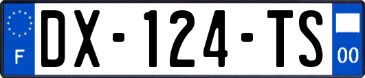 DX-124-TS