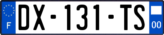 DX-131-TS