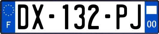 DX-132-PJ