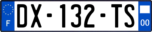 DX-132-TS