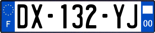 DX-132-YJ