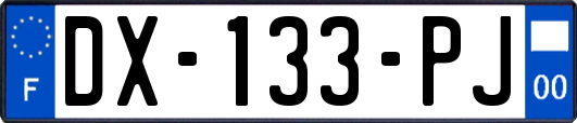 DX-133-PJ