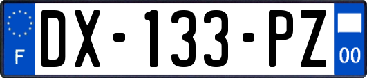 DX-133-PZ