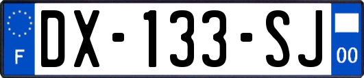 DX-133-SJ