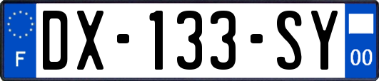 DX-133-SY