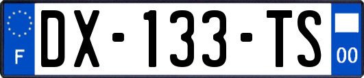 DX-133-TS