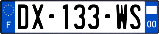 DX-133-WS