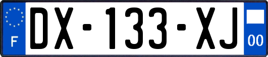 DX-133-XJ