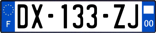 DX-133-ZJ