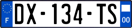 DX-134-TS