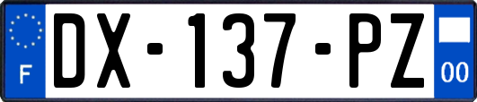 DX-137-PZ