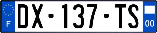 DX-137-TS
