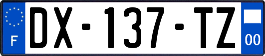 DX-137-TZ