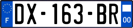 DX-163-BR