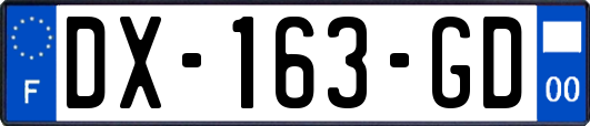 DX-163-GD