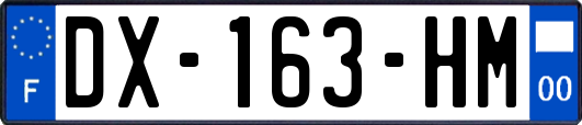 DX-163-HM