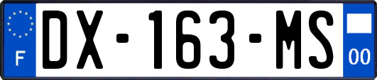 DX-163-MS