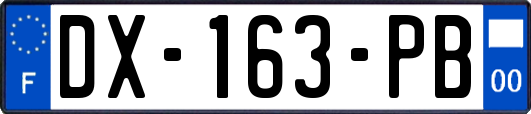 DX-163-PB