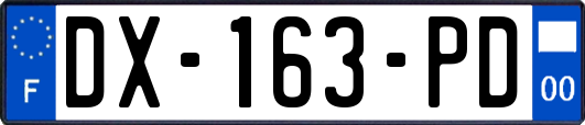 DX-163-PD