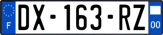 DX-163-RZ