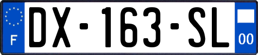 DX-163-SL