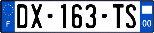 DX-163-TS