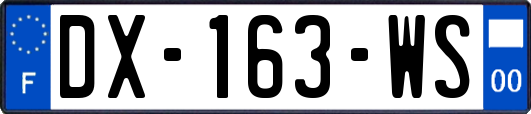 DX-163-WS