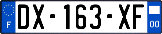 DX-163-XF