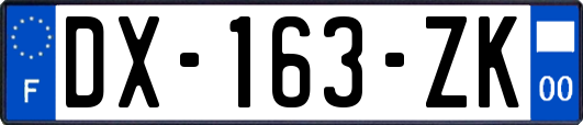 DX-163-ZK