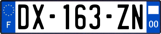 DX-163-ZN