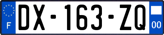 DX-163-ZQ