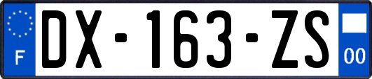 DX-163-ZS