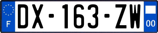 DX-163-ZW