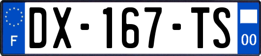 DX-167-TS