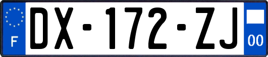 DX-172-ZJ