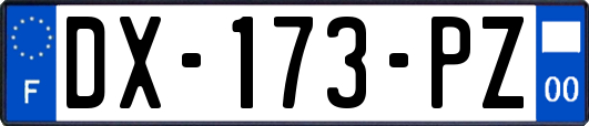DX-173-PZ