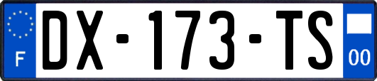 DX-173-TS