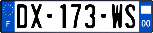 DX-173-WS