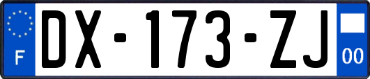 DX-173-ZJ