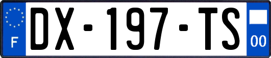 DX-197-TS