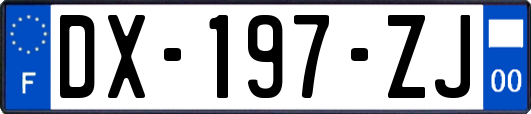 DX-197-ZJ