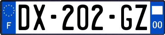 DX-202-GZ